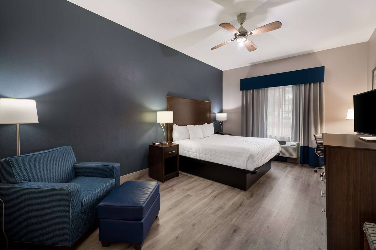 Habitación de hotel con cama, escritorio, silla, sofá, mesita de noche y ventilador de techo.