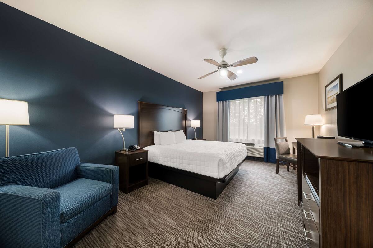 Habitación de hotel con cama, escritorio, silla, sofá y ventilador de techo.
