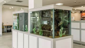 Two glass aquariums with aquatic plants and fish in a modern indoor setting.