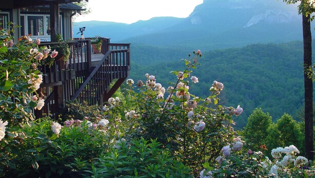 A wooden deck with a camera on a tripod, overlooking a mountainous landscape with lush greenery. - Hampton Inn & Suites Cashiers Sapphire Valley (Sapphire)