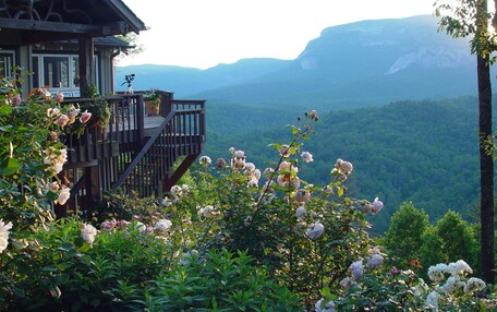 A wooden deck with a camera on a tripod, overlooking a mountainous landscape with lush greenery.