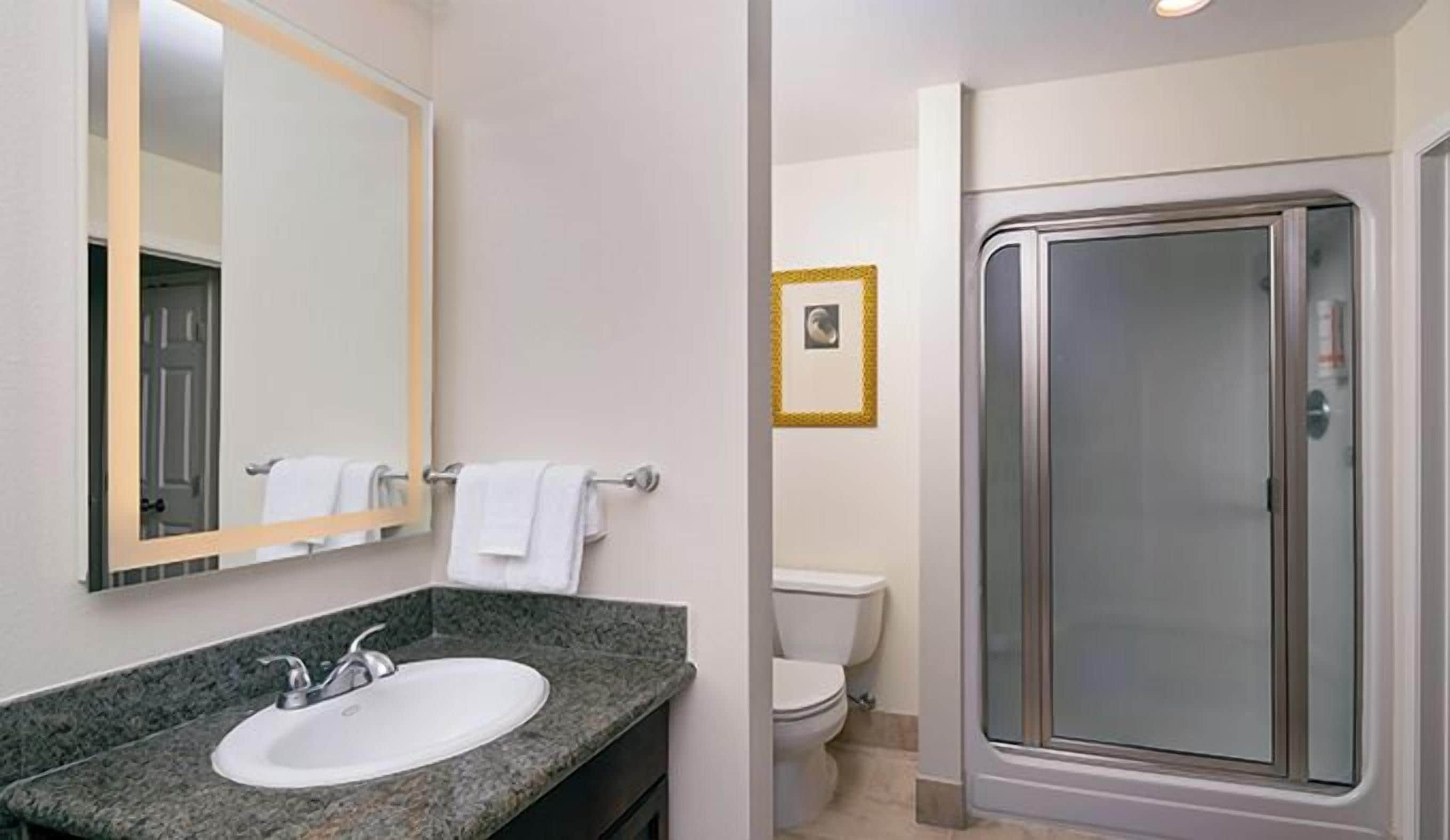 Bany amb un lavabo amb superfície de granit, un mirall, un vàter i una dutxa amb panells de vidre.