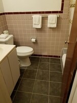Ducha, secador de pelo y toallas