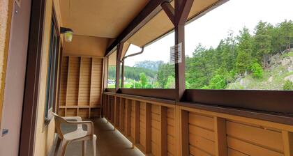Magnuson Grand Rushmore View