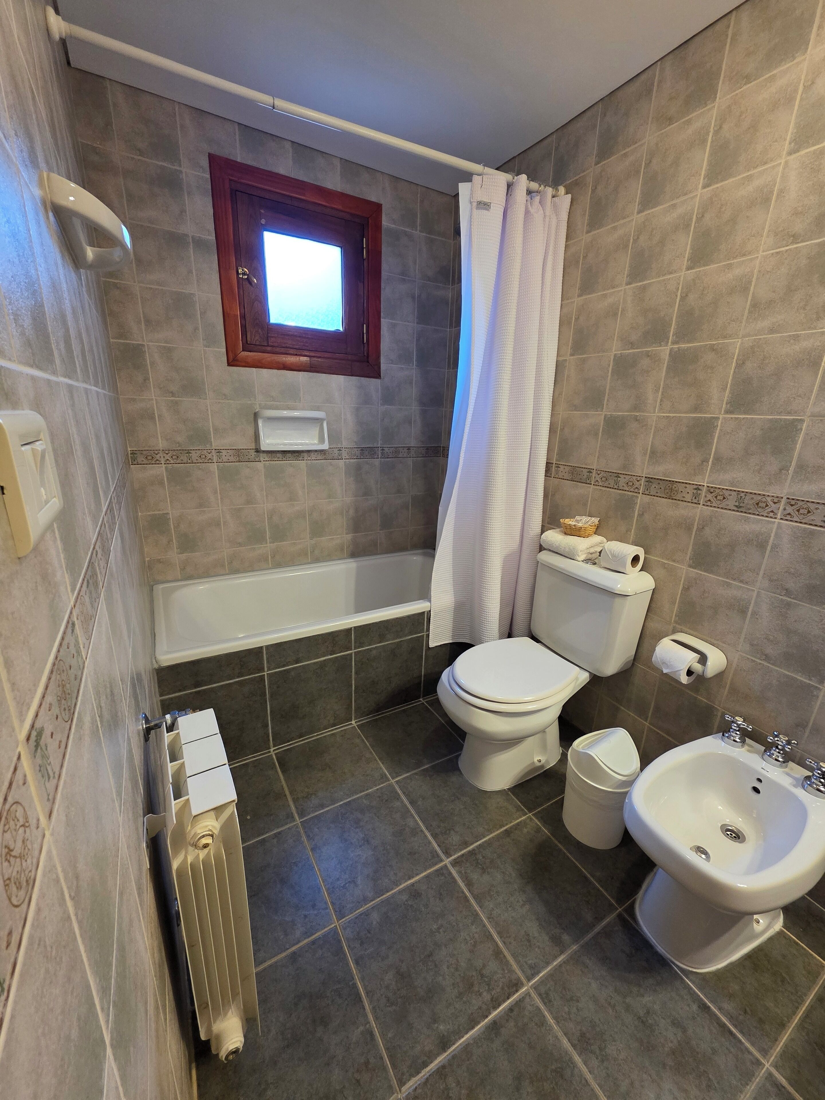 hair dryer, bidet, towels