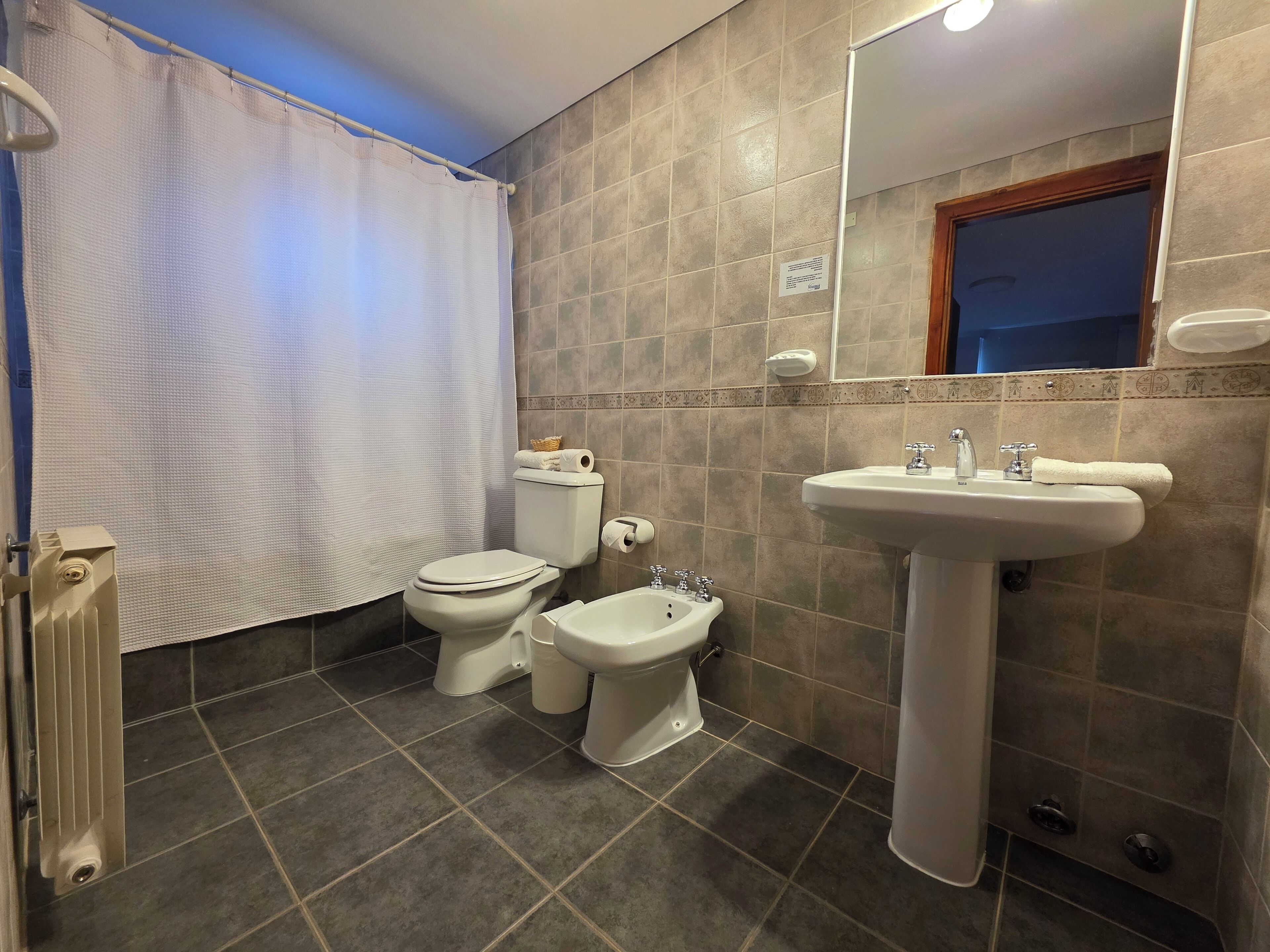 hair dryer, bidet, towels