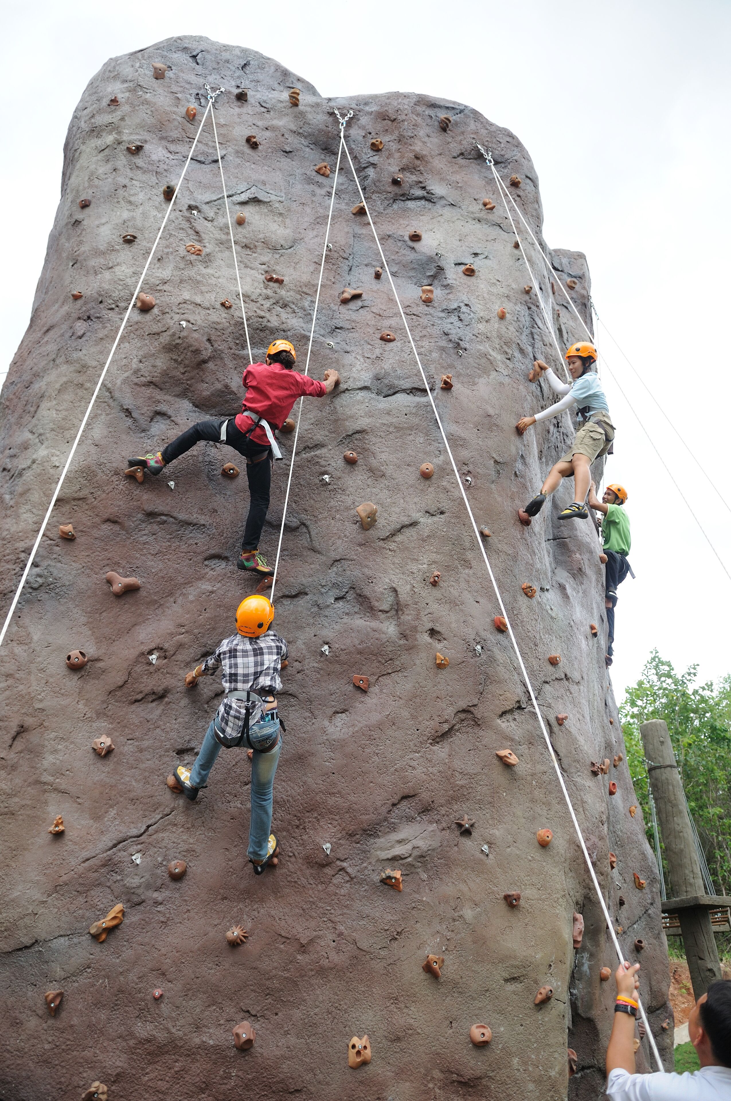 A large indoor rock climbing wall with multiple routes and handholds.