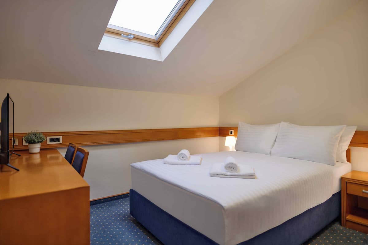 A hotel room with a large bed, a desk, a chair, a small plant, and a skylight.