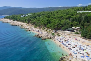 Paseos en botes a motor