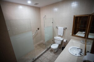 A bathroom with a glass-enclosed shower, a toilet, a sink, and a mirror.