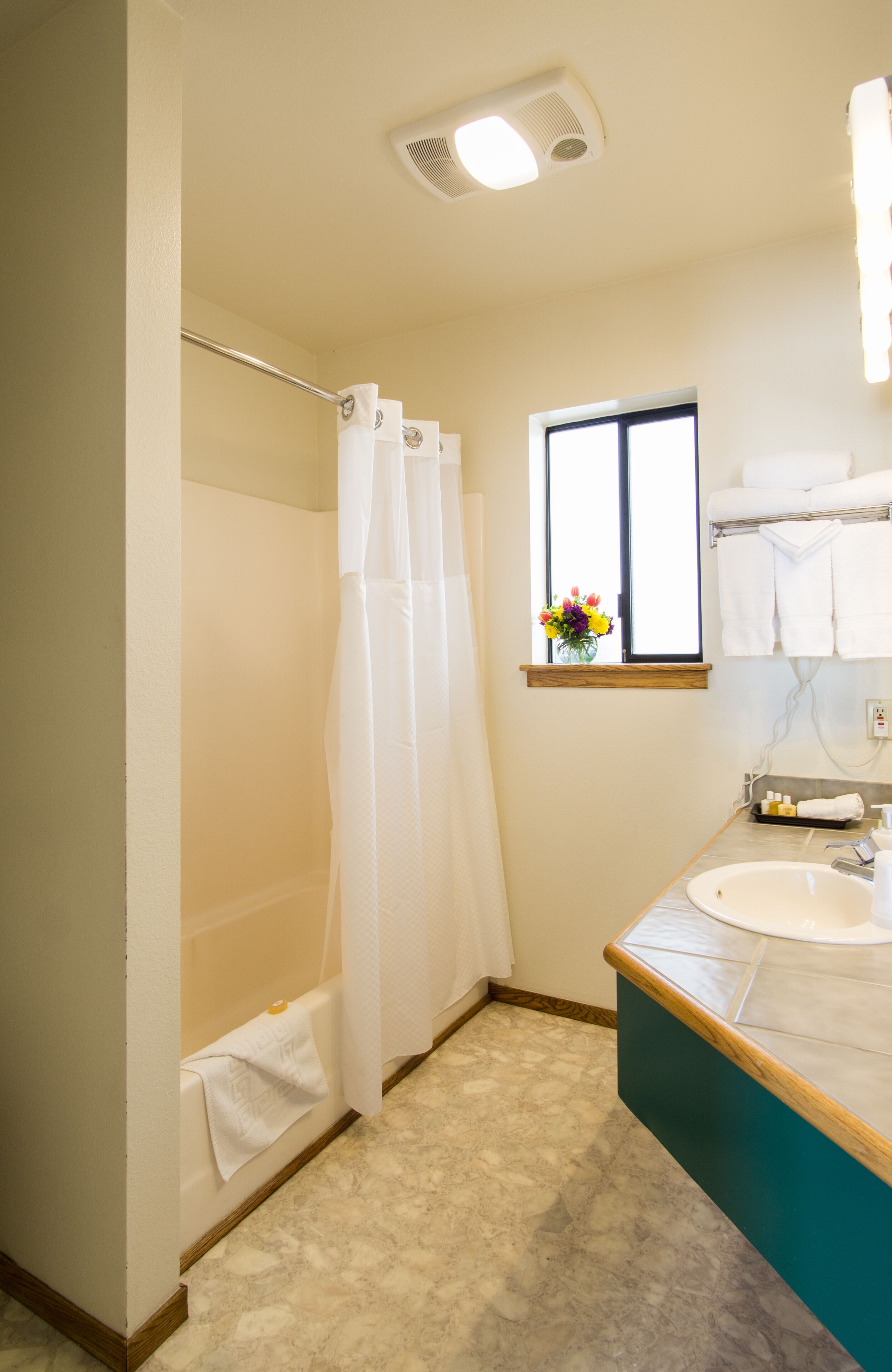 combined shower/bathtub, free toiletries, hair dryer, towels