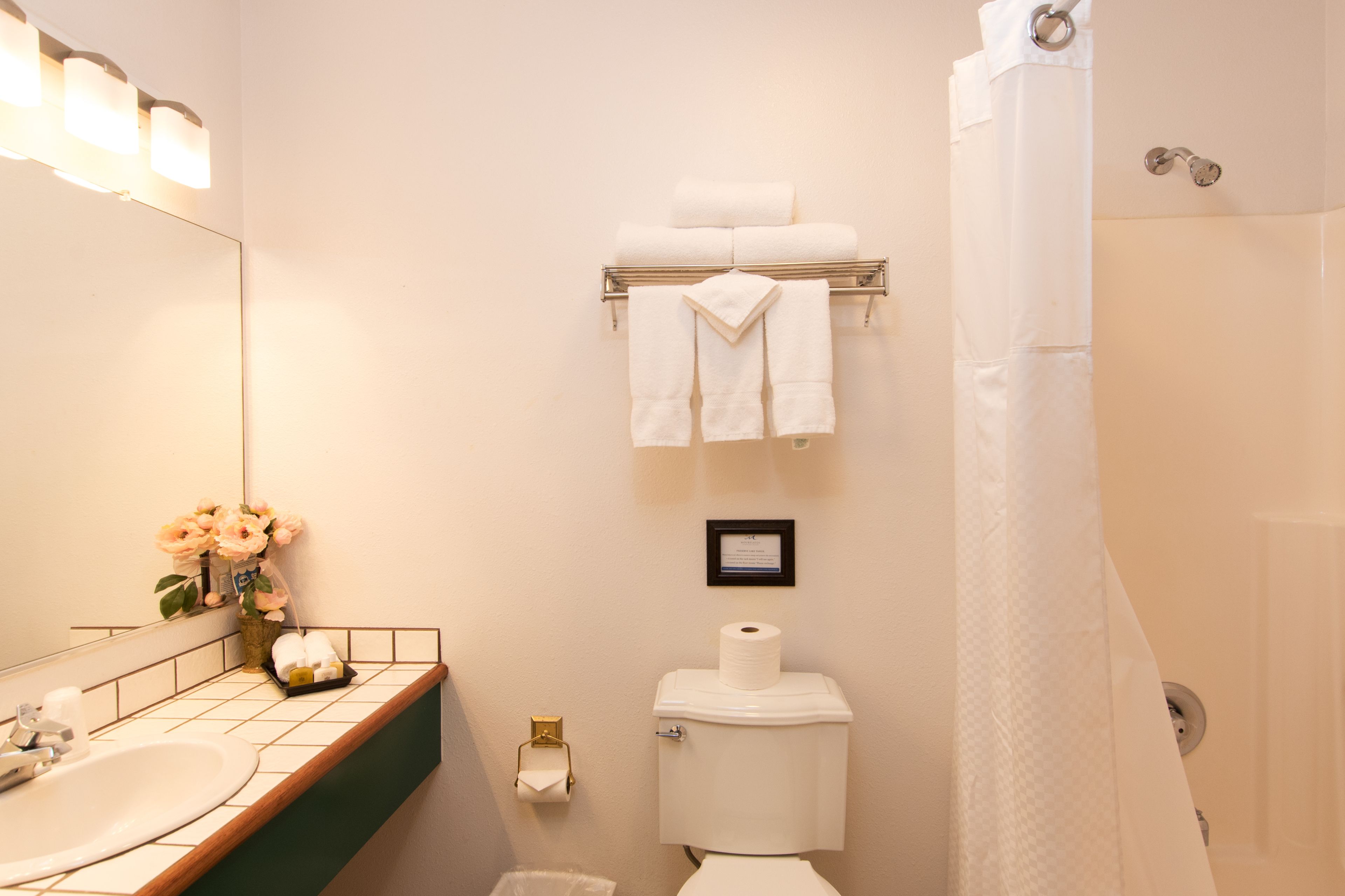 combined shower/bathtub, free toiletries, hair dryer, towels