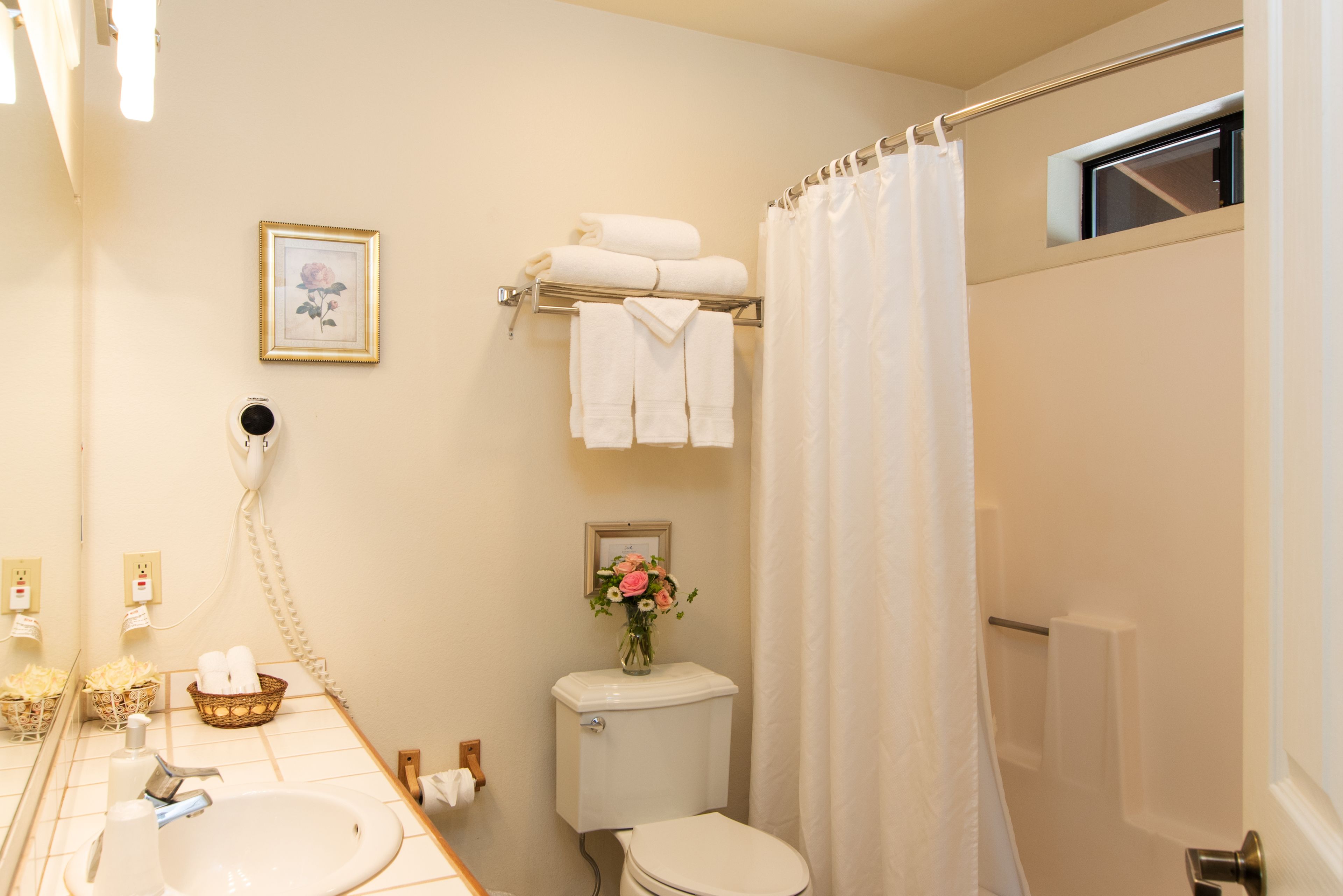 combined shower/bathtub, free toiletries, hair dryer, towels