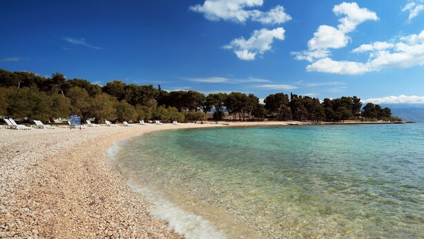 A beach with clear water, pebbles, and trees. - Hotel Villa Adriatica - Adults only (Supetar)