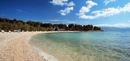 Beach nearby. Hotel Villa Adriatica - Adults only