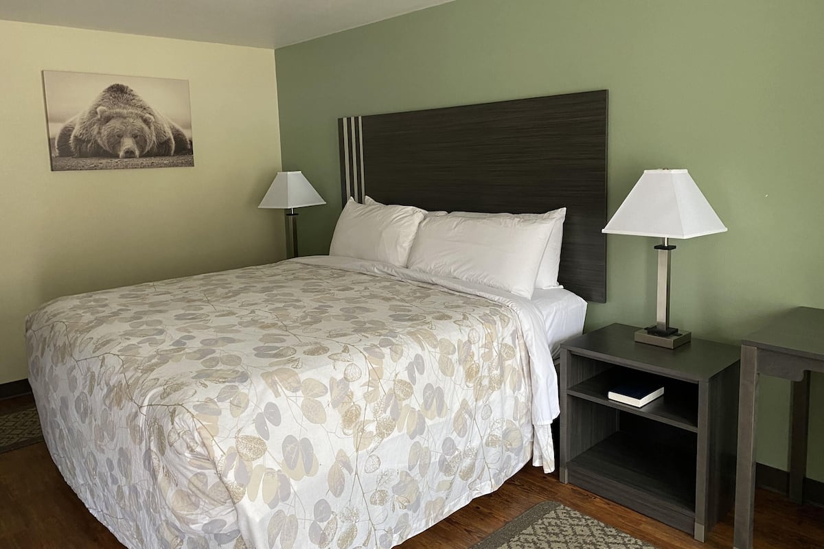 Habitación individual estándar, 1 cama King size | Wifi gratis y ropa de cama