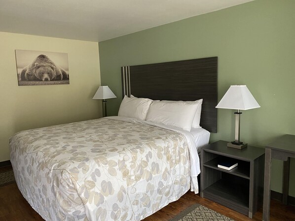 Standard Single Room, 1 King Bed