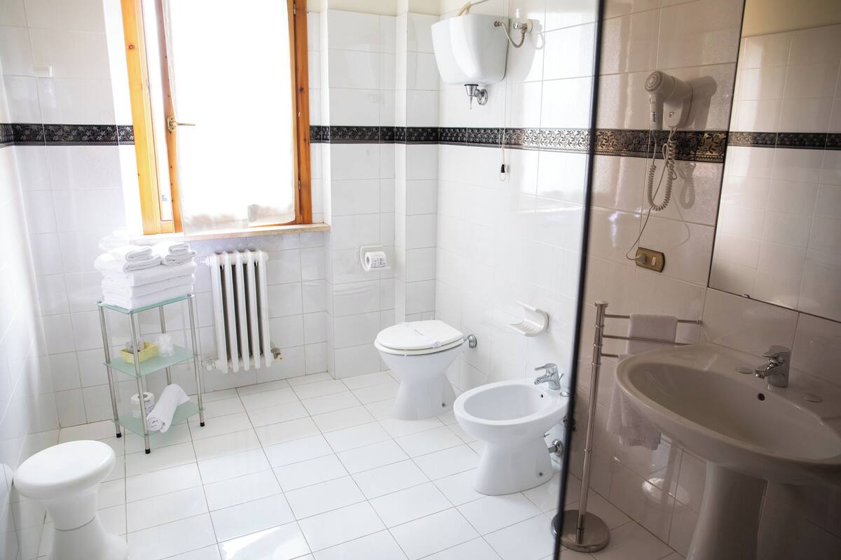 free toiletries, hair dryer, bidet, towels