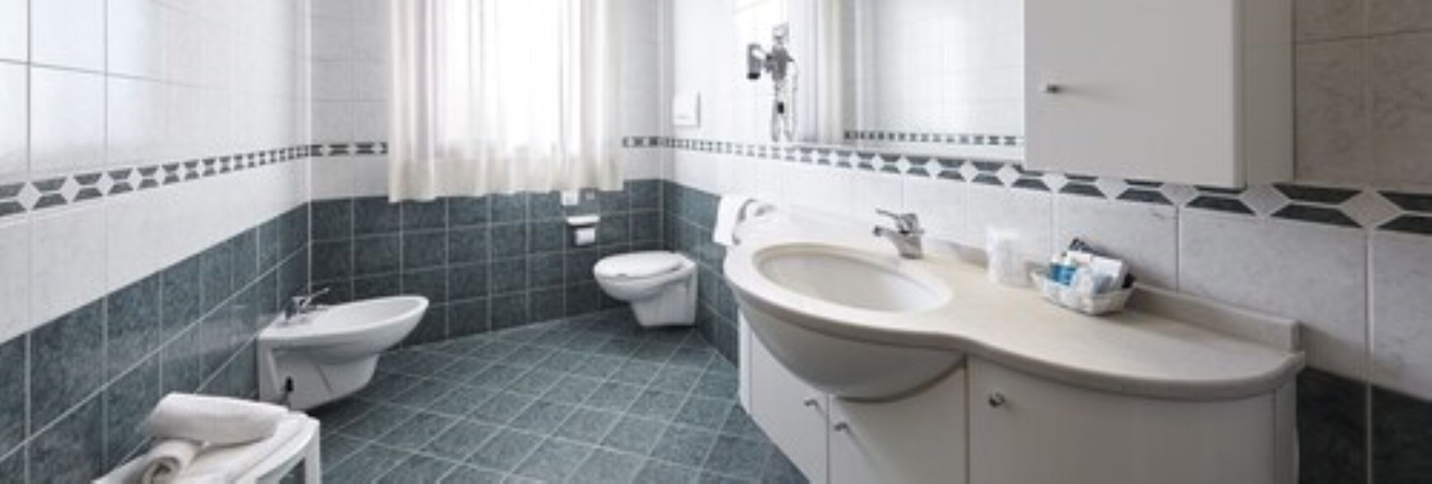 combined shower/bathtub, hair dryer, bidet, towels