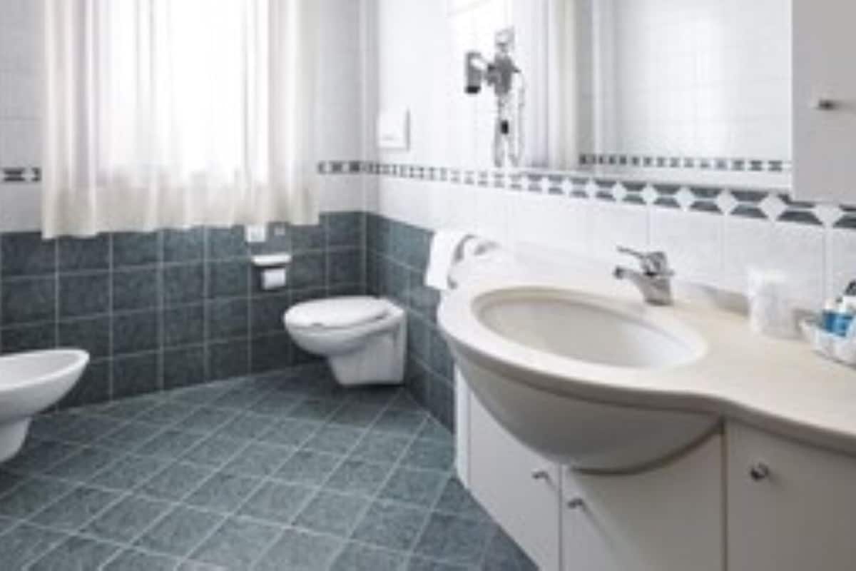 combined shower/bathtub, hair dryer, bidet, towels