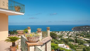 Un balcon agrémenté de plantes en pot et offrant une vue sur la mer.