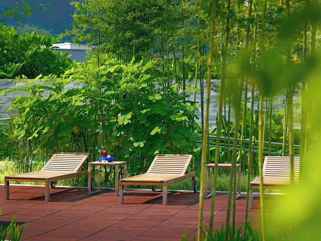 花园景观