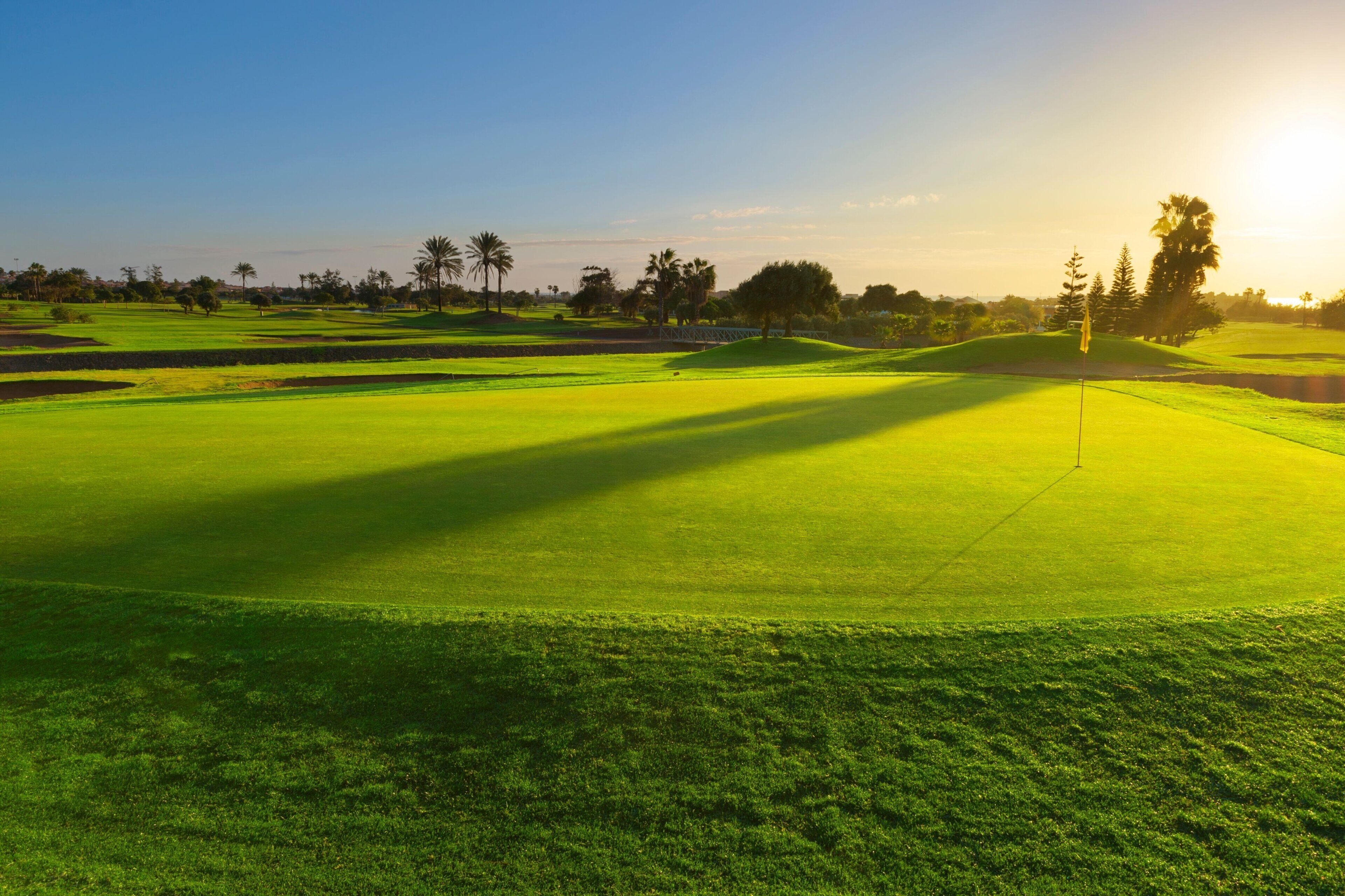 Een golfbaan met heldere lucht, palmbomen en een vlag.