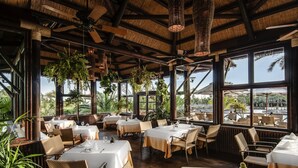 An indoor dining area with tables set for guests, large windows offering views of palm trees and a clear sky, and hanging plants adding greenery.