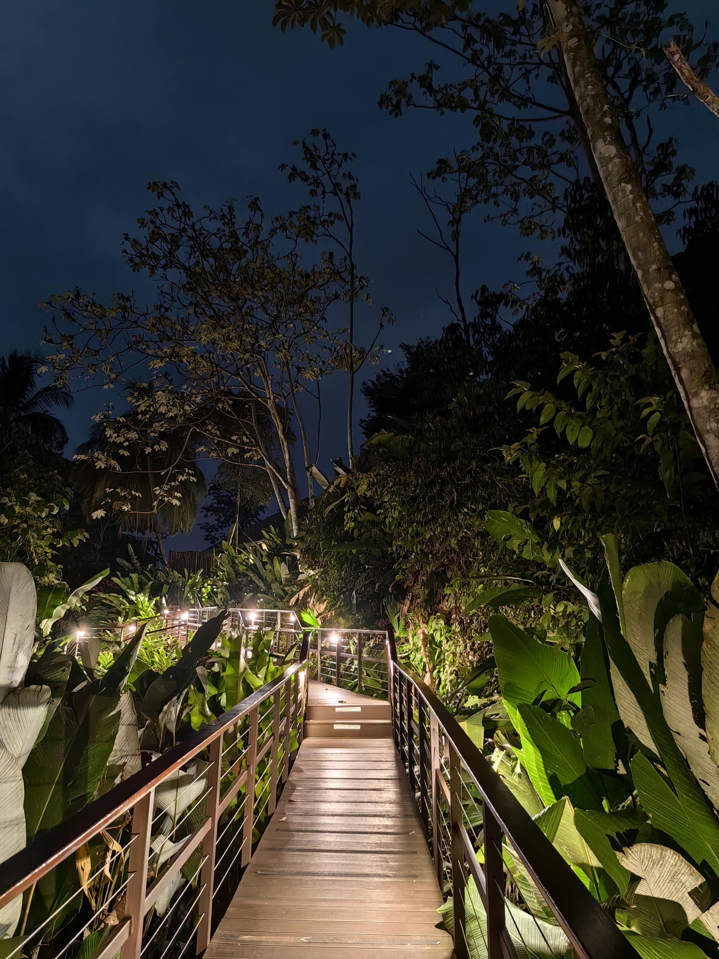 A wooden staircase with metal railings, surrounded by lush greenery and trees, leading to a higher level.