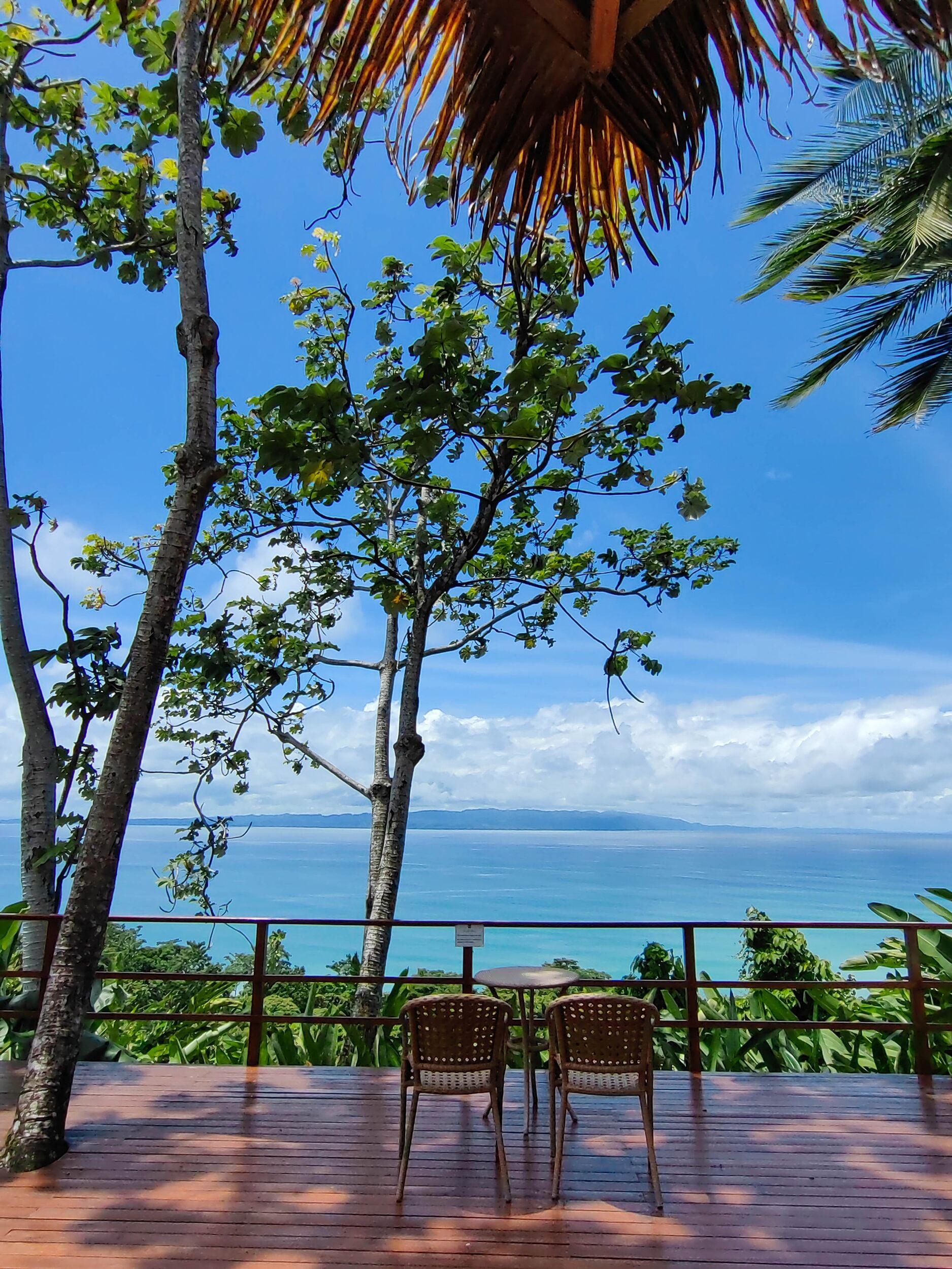 deluxe bungalows | terrace/patio