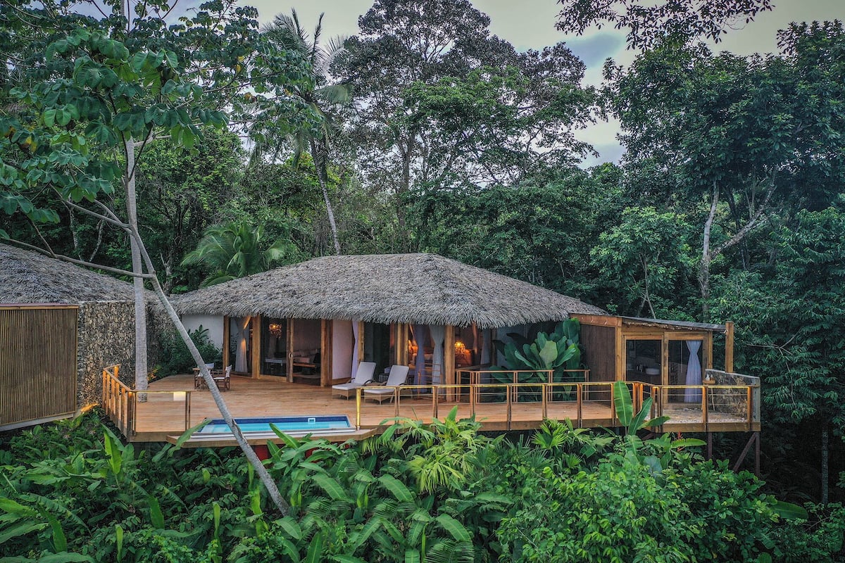 A thatched-roof bungalow with a pool, surrounded by dense tropical foliage.