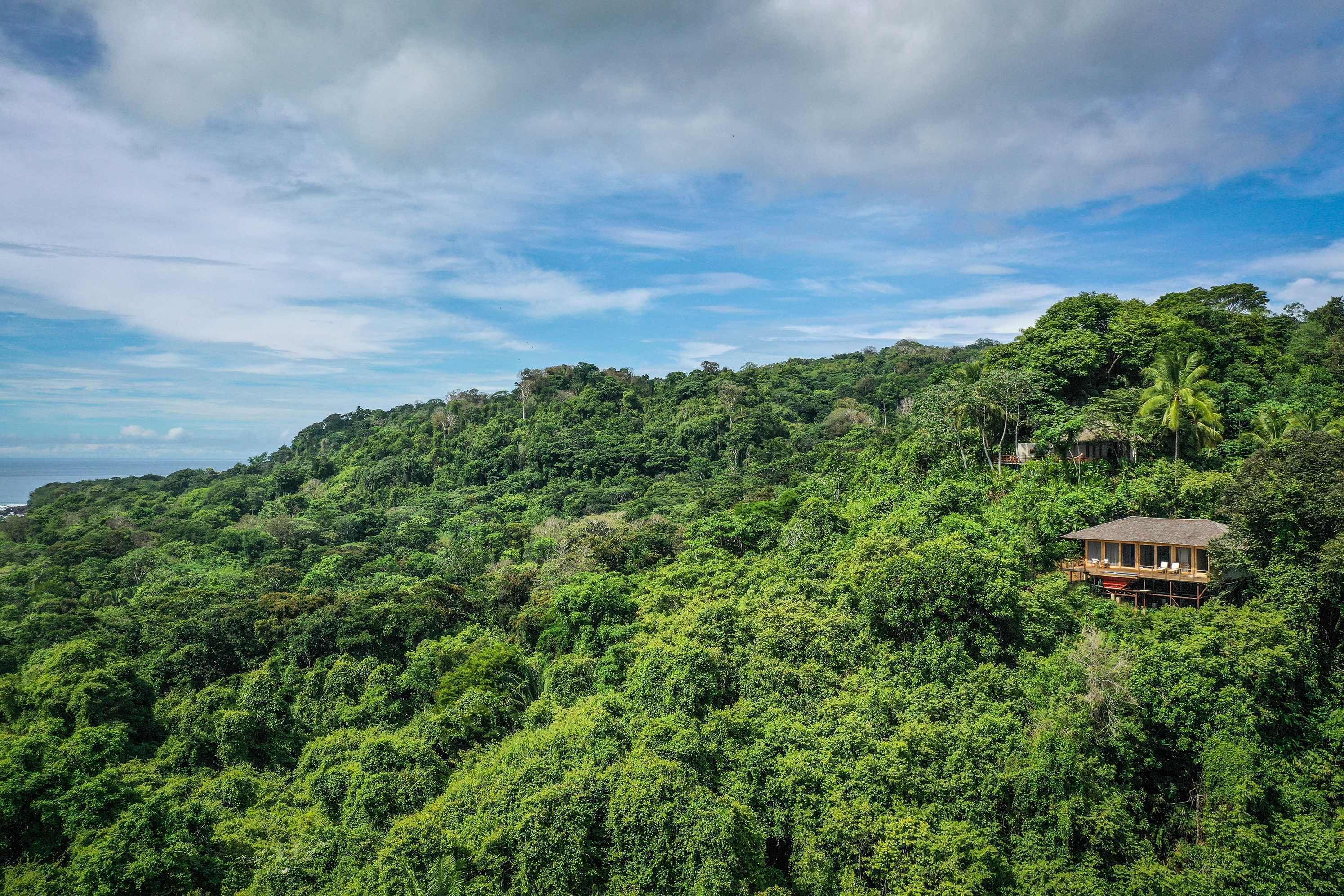 A wooden cabin nestled among dense green forest, elevated on stilts, with a clear view of the surrounding landscape.