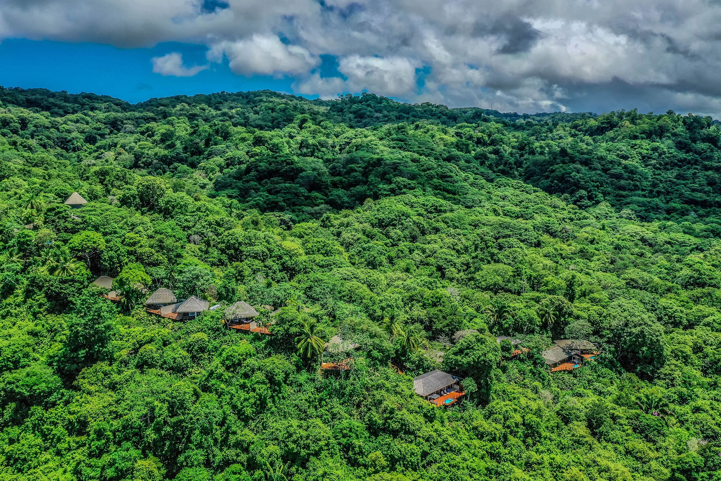 Un paysage verdoyant et luxuriant, parsemé de plusieurs petites huttes aux toits de chaume, au milieu d’une forêt dense.