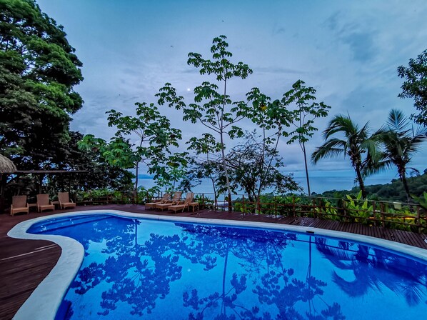 A swimming pool with lounge chairs and tropical trees.