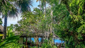 A pathway surrounded by lush tropical vegetation leading to a thatched-roof structure. - Lapa Rios Lodge (Puerto Jiménez)