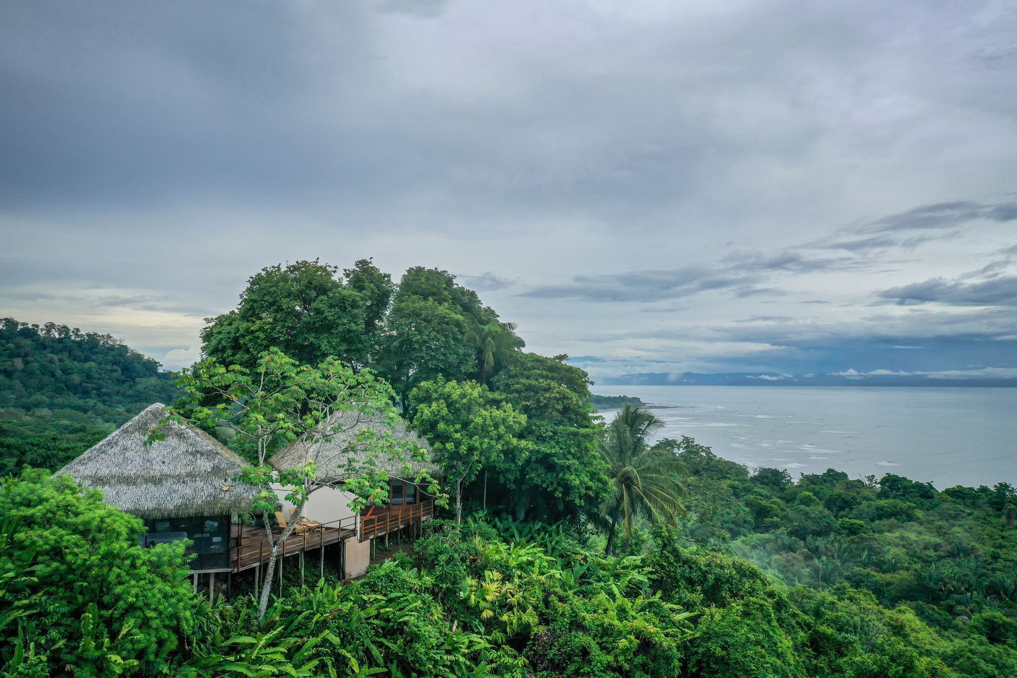 Uma construção com telhado de palha e deck de madeira, rodeada por vegetação tropical densa e com vista para um mar calmo.
