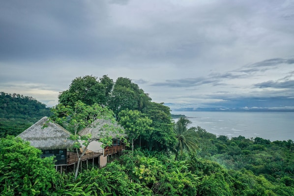 A thatched-roof structure with a wooden deck, surrounded by dense tropical foliage and overlooking a calm sea.