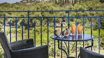 Superior Studio, Garden View | Balcony view
