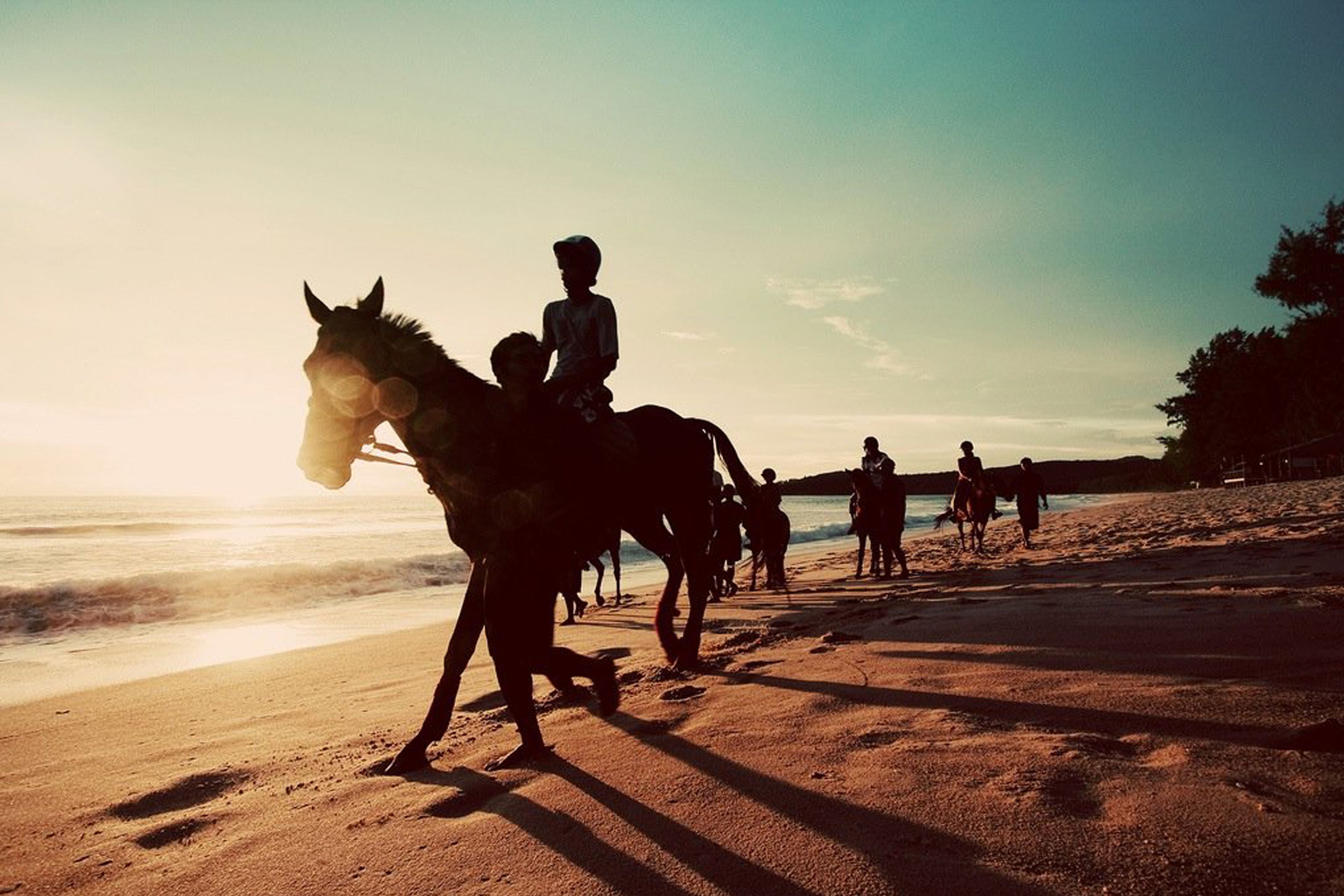 Une scène de plage avec une calèche tirée par des chevaux et des personnes se promenant le long du rivage.