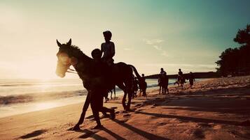 Une scène de plage avec une calèche tirée par des chevaux et des personnes se promenant le long du rivage.