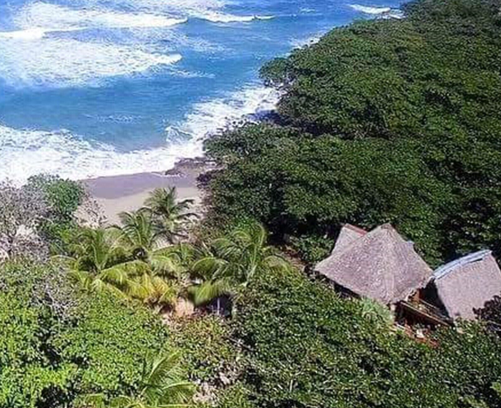 Una playa con cabañas de techo de paja, abundante vegetación y el océano.
