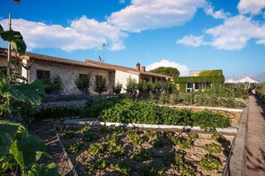 Property grounds - Terre Di Casole (Casole d'Elsa)