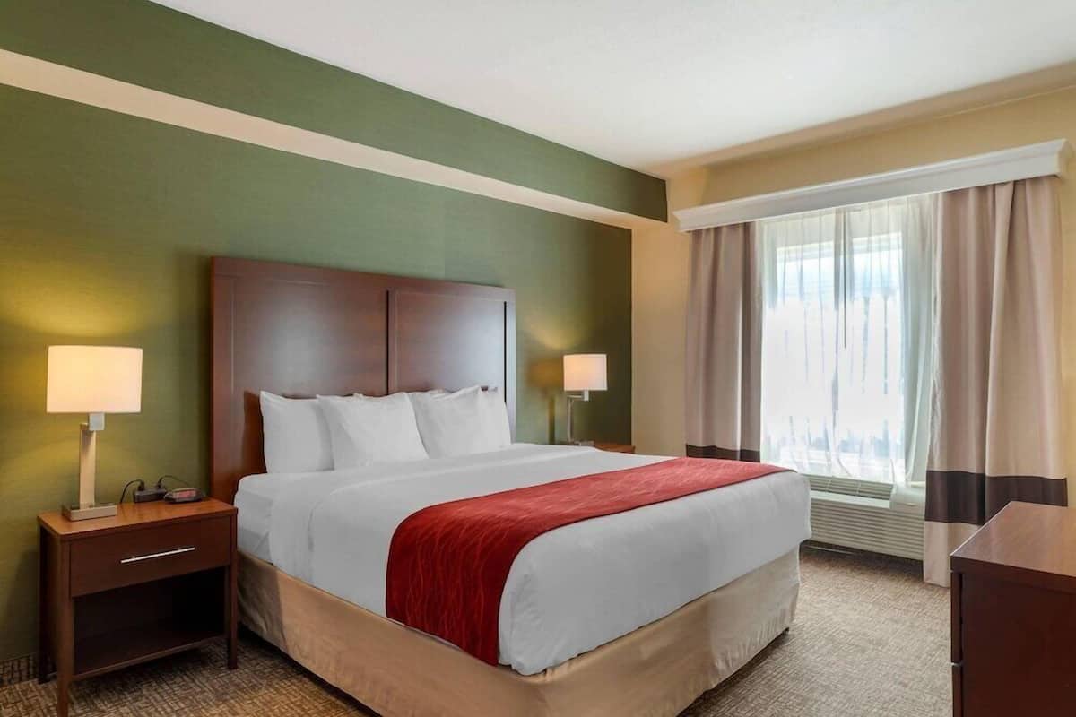 Premium bedding, in-room safe, desk, blackout curtains