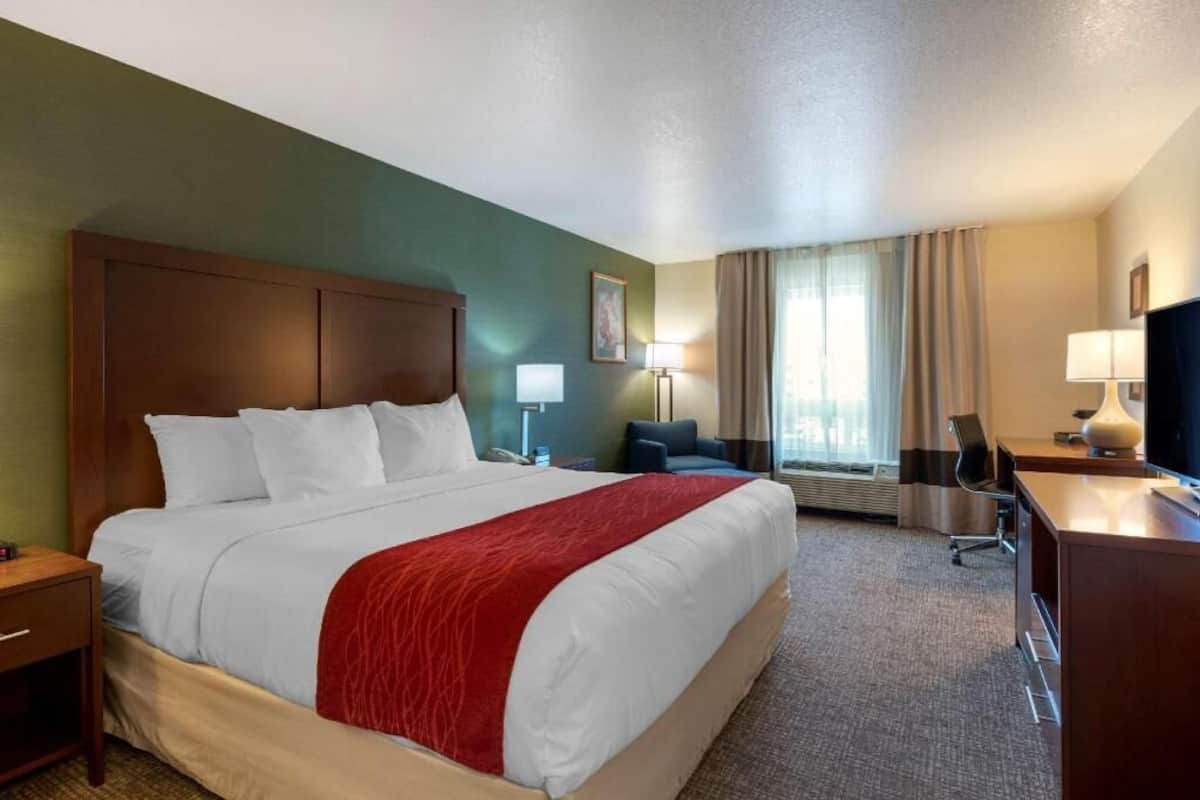 Una habitación de hotel con una cama grande, un escritorio, una silla, un televisor y una ventana con cortinas.