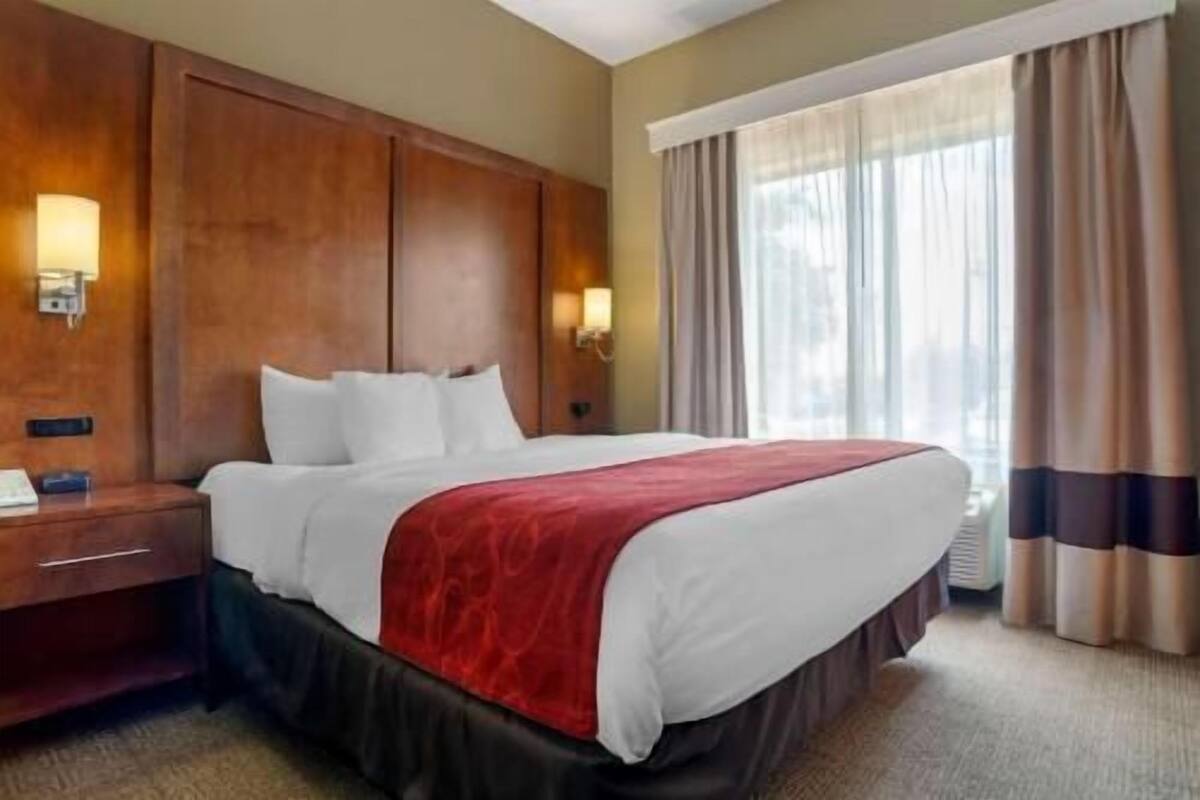Habitación de hotel con cama, mesita de noche, lámpara, ventana con cortinas y luz empotrada en la pared.