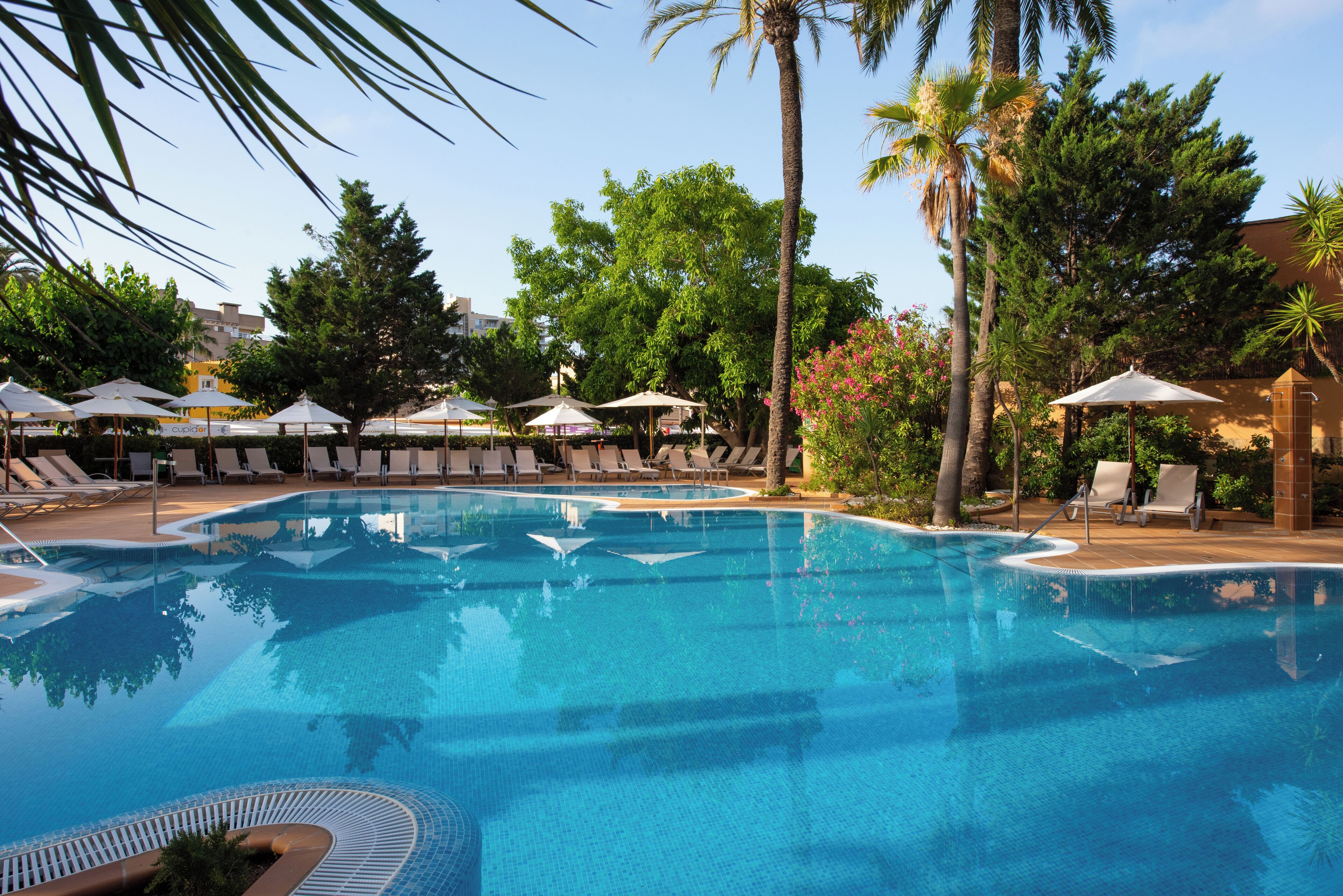 Piscina all'aperto, ombrelloni da piscina, lettini