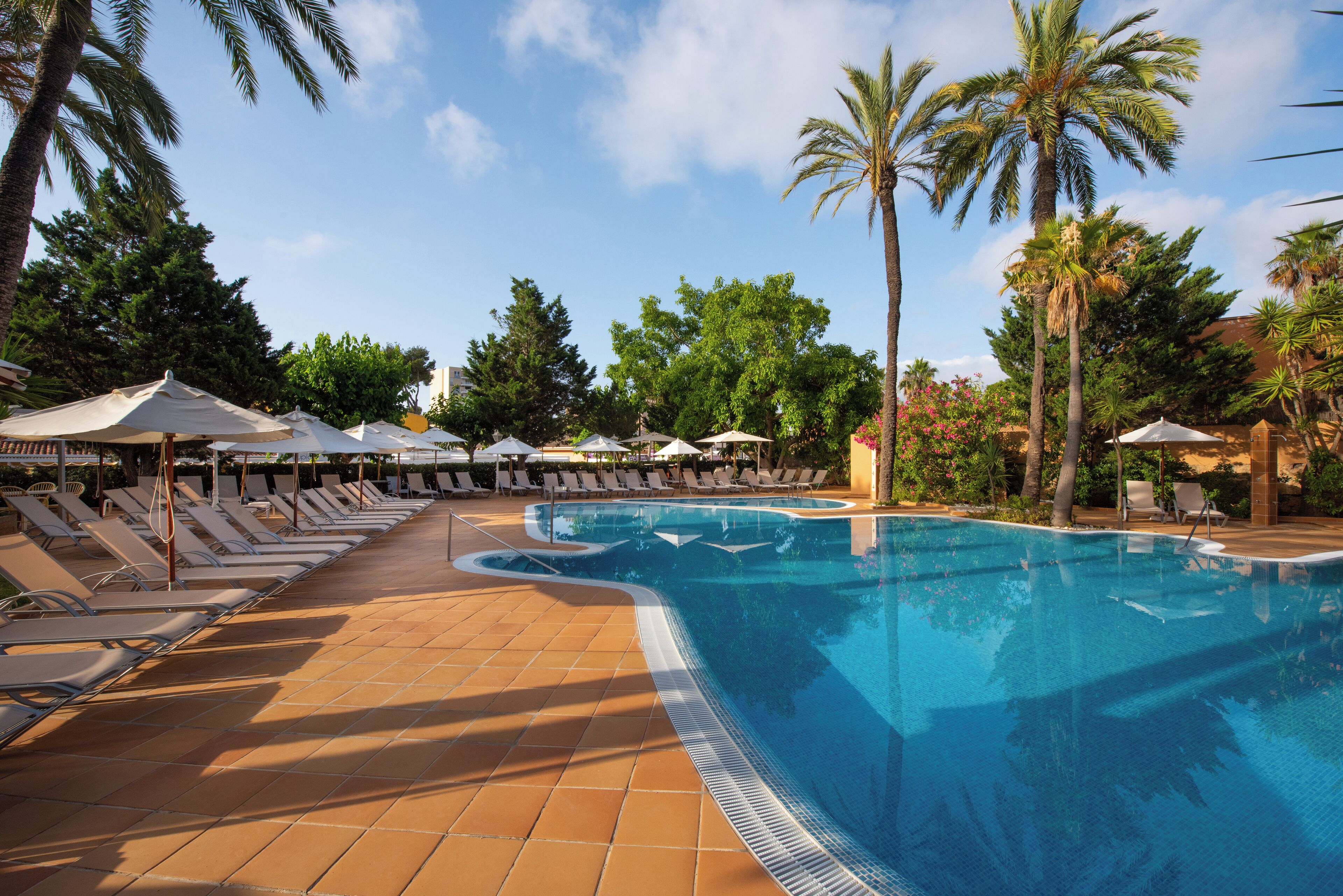 Zona de piscina con tumbonas y sombrillas, rodeada de palmeras y vegetación.