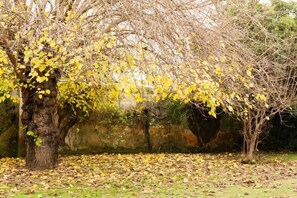 Property grounds - Cortijo el Esparragal (Gerena)