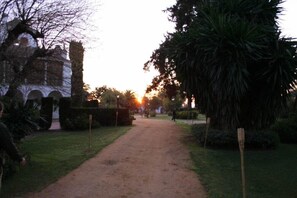 Property grounds - Cortijo el Esparragal (Gerena)