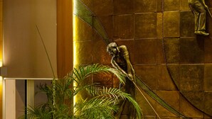 A modern interior with a white armchair, a large potted plant, and a wall-mounted sculpture. - Golf Royal Hotel (Tunis)